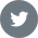 TWITTER ICON