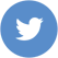 TWITTER BLUE